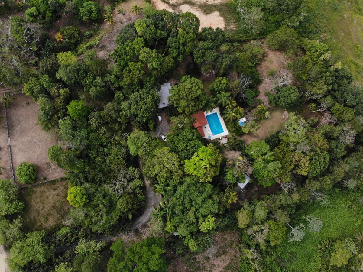Plasencia Estate Омоа Екстериор снимка